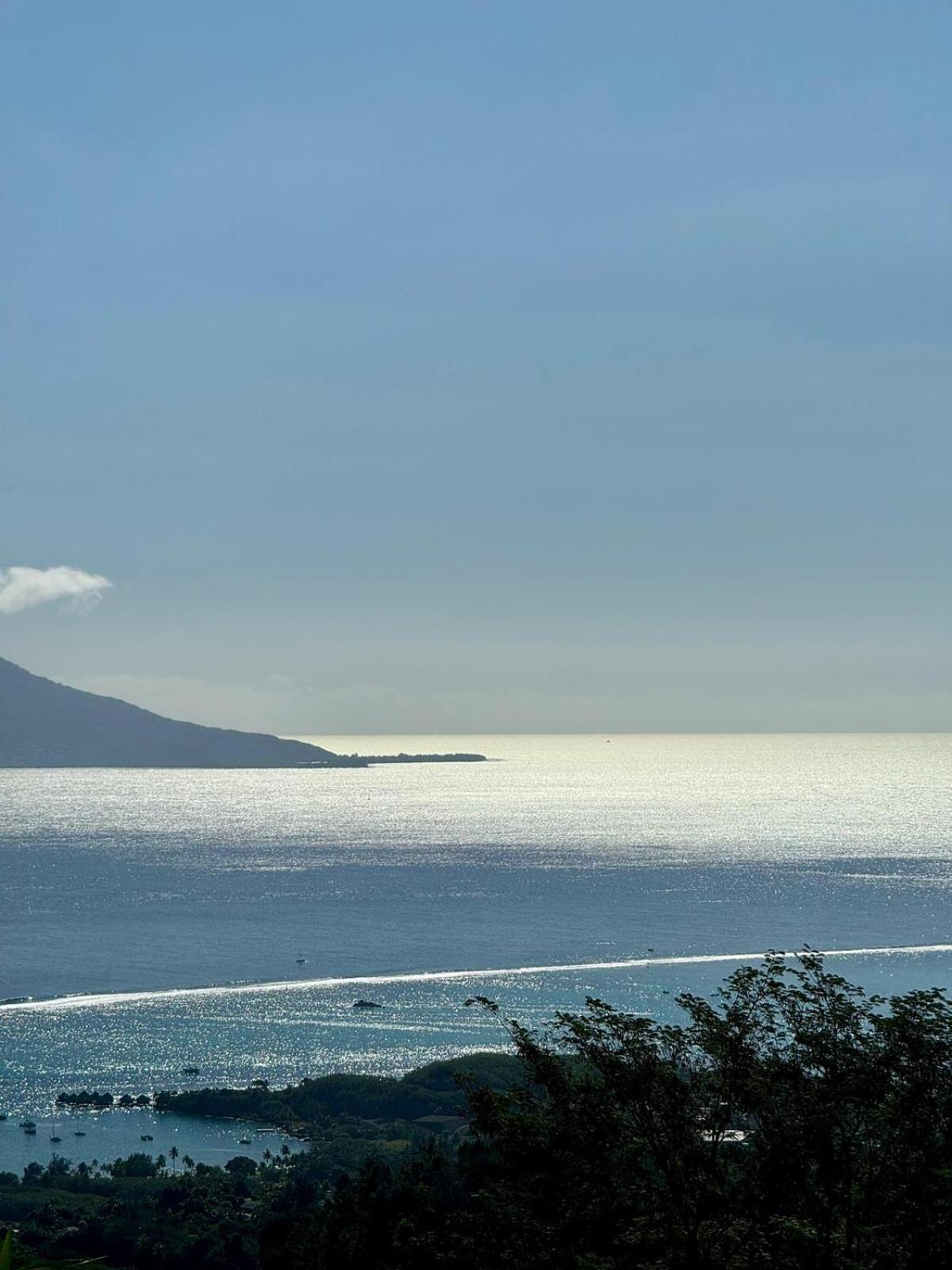 Logement Cosy Avec Piscine Et Vue Tahiti Punaauia Buitenkant foto